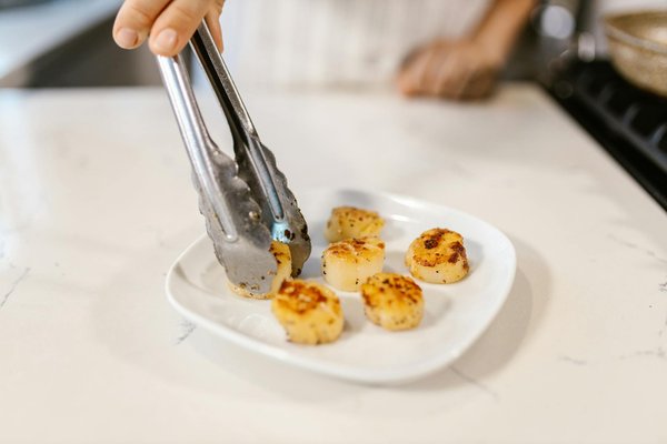 Descubre el Mundo Generalista de Nuestros Mejores